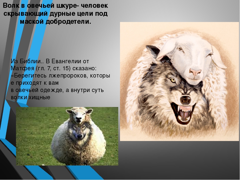Католическая ересь.