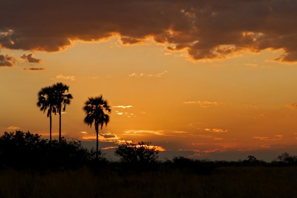 "Orthodox Symbol of Faith in Swahili"