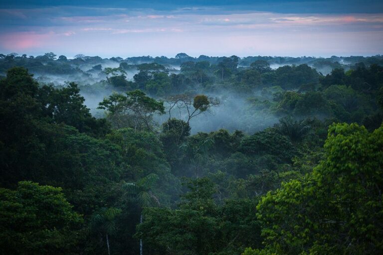 «The Lord’s Prayer in Yanomami language»