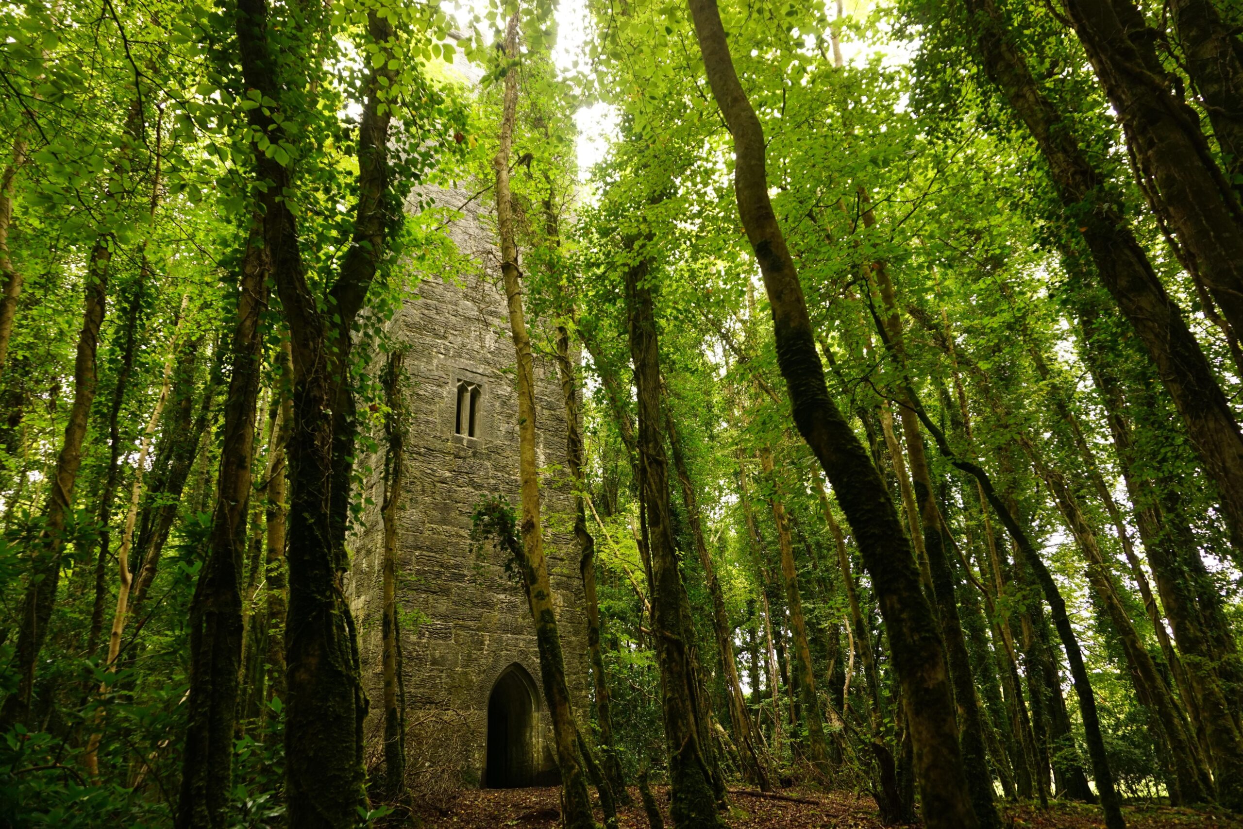 "Christian text in Old Irish"