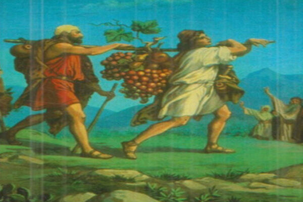 ✝️Иисус Христос - истинный Мессия.