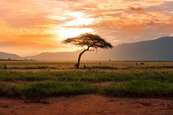 Against the persecution of Christians in Africa and the world.