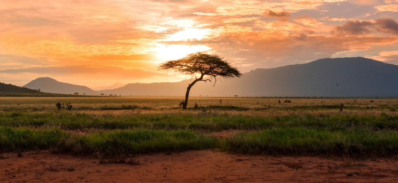 Against the persecution of Christians in Africa and the world.