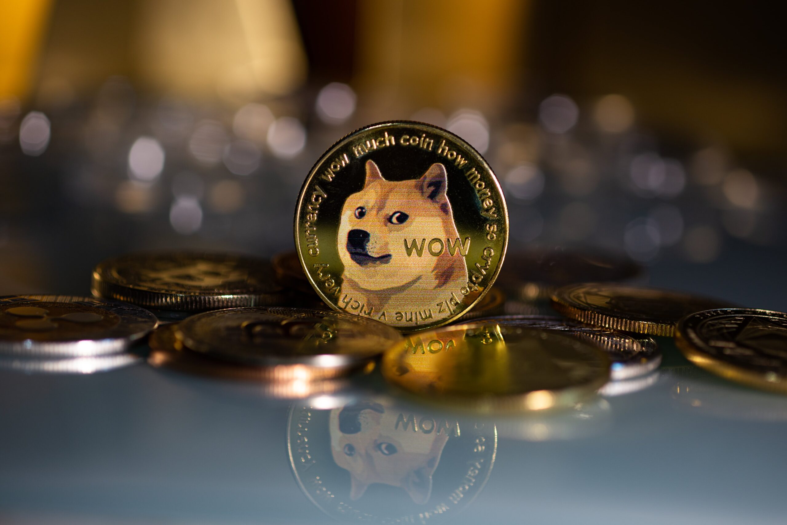 My Crypto Wallets.