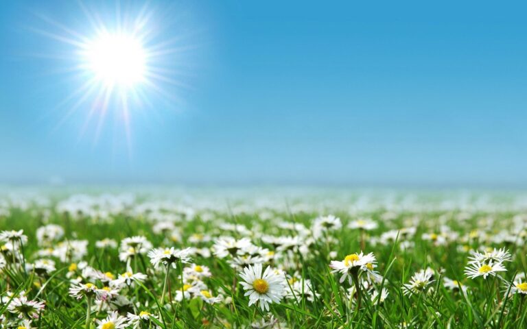 Свѣ́тъ Христовъ не знает искаженїй.