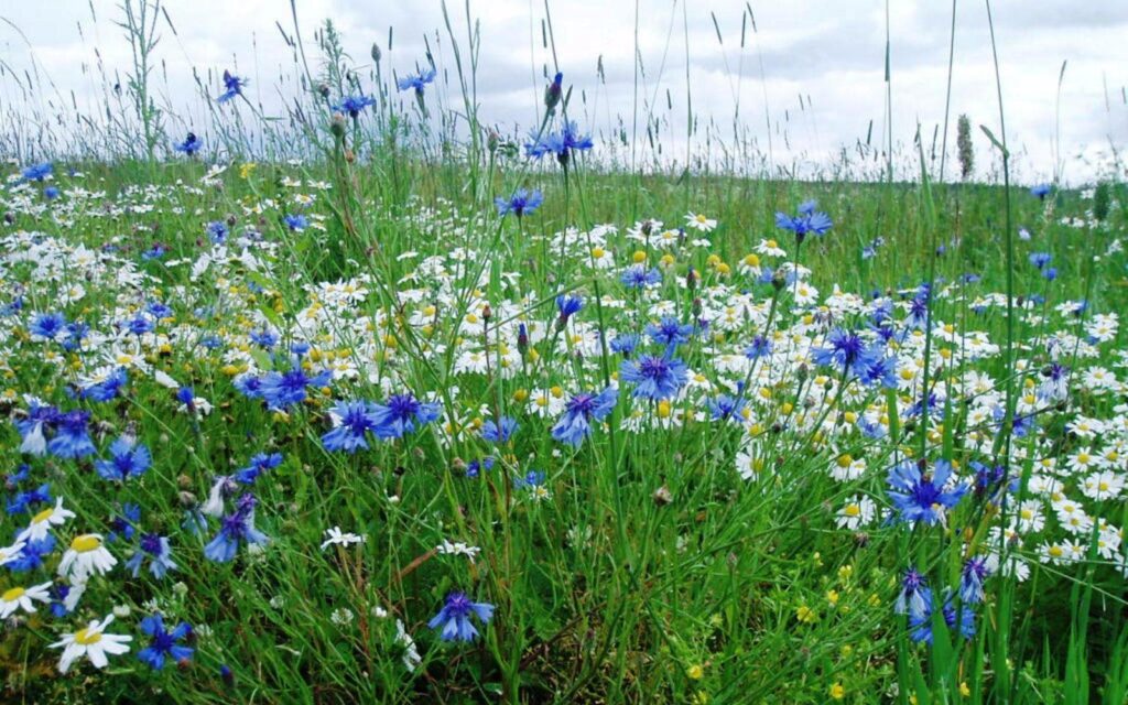 Губка Боб - не просто забавная фигурка, это глубоко продуманный инструмент цифровых бесов.