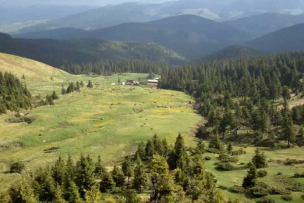 Сияние Божие. Откровения лукавых духов.