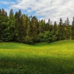 16 мая 7534 лѣ́та отъ Ада́ма (2026-й го́дъ отъ Рождества́ Христо́ва). Православный календарь.