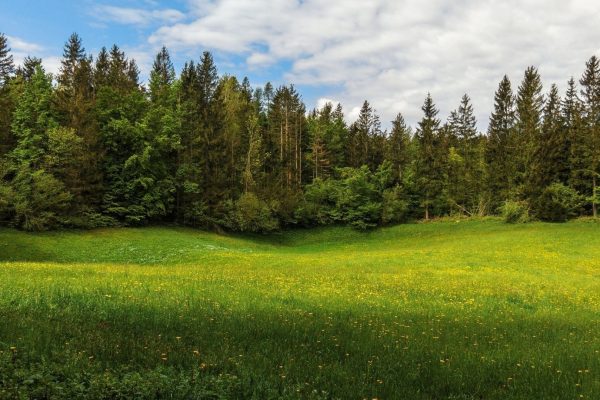 16 мая 7534 лѣ́та отъ Ада́ма (2026-й го́дъ отъ Рождества́ Христо́ва). Православный календарь.