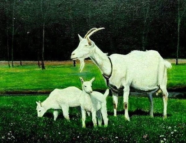 Райские звери.